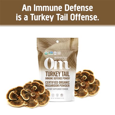 The Benefits of Turkey Tail