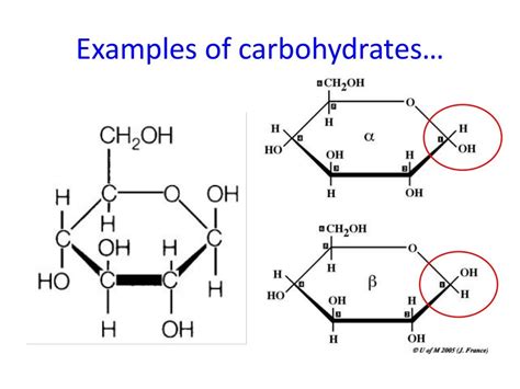 Diagram Of Carbohydrate Structure