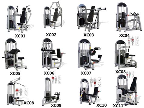 Gym: Gym Equipment Names