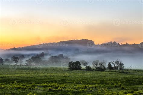 early morning sunrise landscape with bushes in fog near river at summer ...