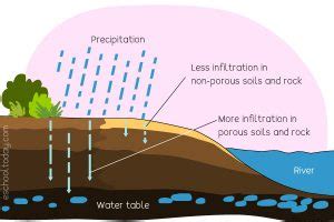 What does infiltration mean in the water cycle? – Eschooltoday