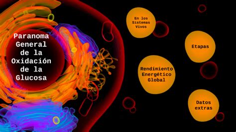 Oxidación de la Glucosa by mateo martinez on Prezi