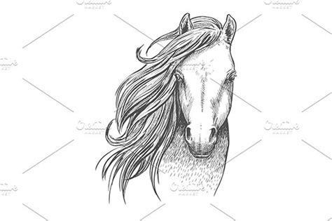 Beautiful wild horse sketch | Illustrator Graphics ~ Creative Market