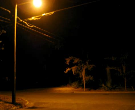 Night Street Light Pole Road Tree | Christopher Sessums | Flickr