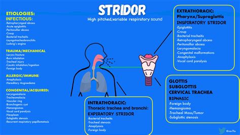 Stridor Differential Diagnosis Framework High Pitched Grepmed 41907 ...