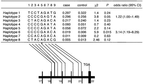 Analysis of haplotype structure and estimated haplotype frequencies ...