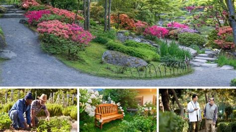 The 5 Types of Therapeutic Gardens And How They Help Patients