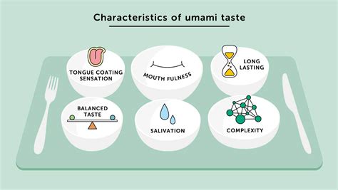 What is Umami? | Everything about umami | Umami | Ajinomoto Group ...