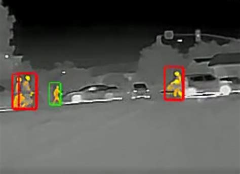 Night Vision vs. Thermal Imaging Explained - speedir