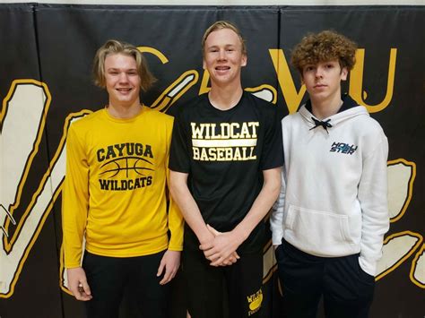 High school basketball: Cayuga's Carroll, Clark receive top district honors | Sports ...