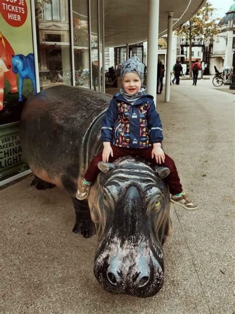 Antwerp Zoo: Tickets, Prices and Other Practicalities - merry-go-round. slowly