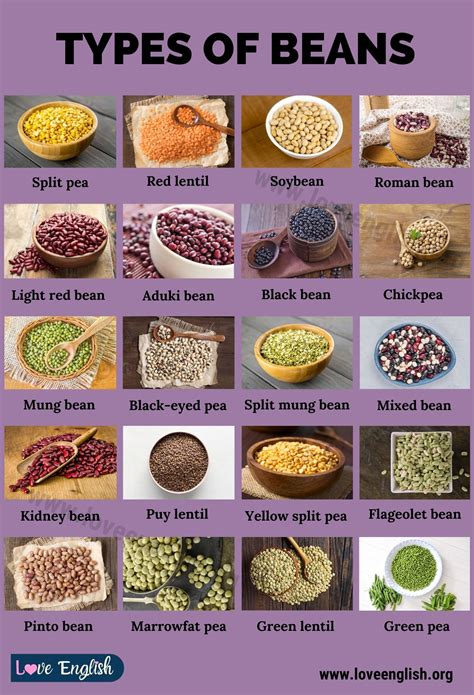 Types of Beans: 21 Different Types of Beans that You Should Try - Love English