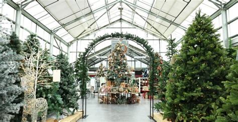 Dobbies research shows Christmas 2020 more meaningful to almost half of 25-34 year olds - Garden ...