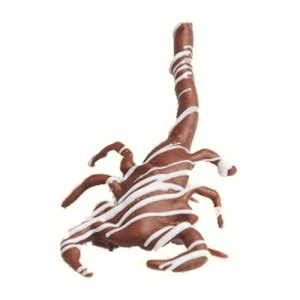 Chocolate Covered Scorpion - Edible Insects