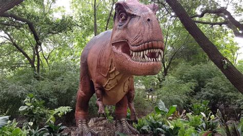 Dinosaurs at the Houston Zoo 2016 - YouTube