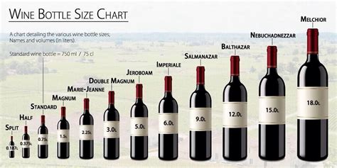 Twitter / mikepparker25: Wine Nation: Has it been a ... | Wine bottle sizes, Wine chart, Magnum ...