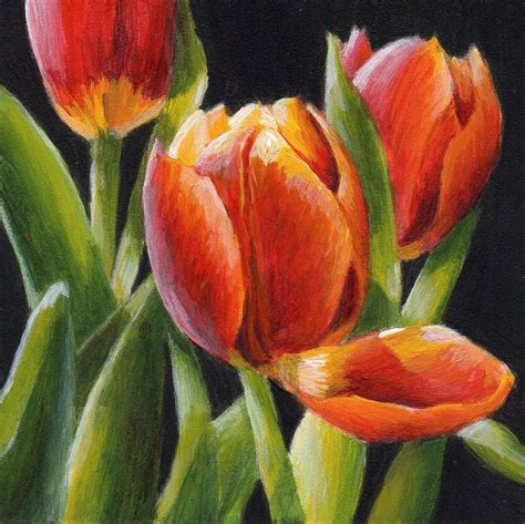 Flower Painting: Beautiful Tulip Artwork