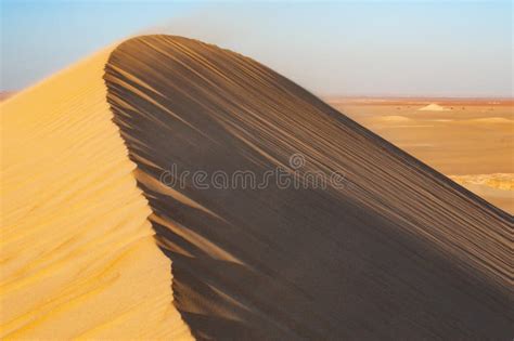 Oasis in Sahara Desert in Egypt Stock Photo - Image of destination ...