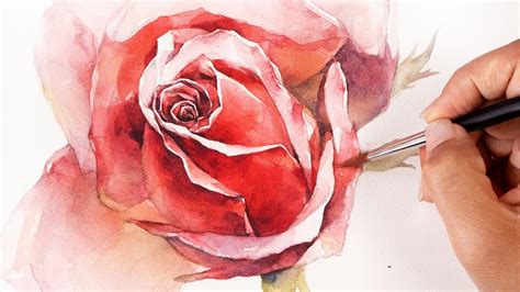 Watercolor Painting | Red Rose - YouTube