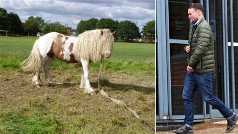 Former Commonwealth boxer Glenn Foot treated horse so badly it had ...