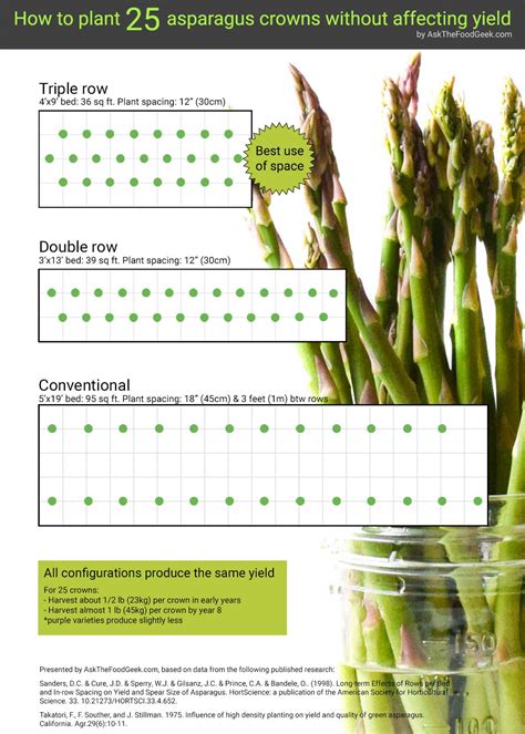 How to grow asparagus in less space - Ask the Food Geek