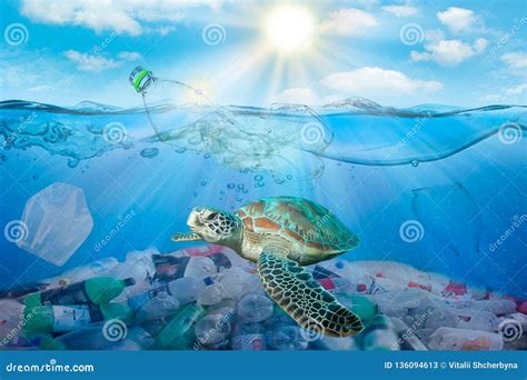 Plastic Pollution in Ocean Environmental Problem. Turtles Can Eat Plastic Bags Mistaking Them ...