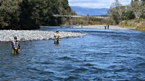 Mid sections Tongariro River: Fishing the rivers and streams of the Taupo Trout Fishery