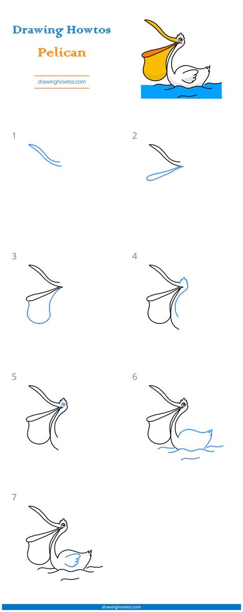 How to Draw a Pelican - Step by Step Easy Drawing Guides - Drawing Howtos