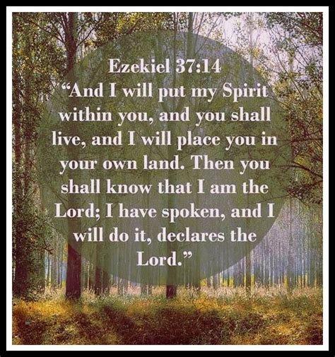 Ezekiel 37:14 | Ezekiel 37, Ezekiel, I have spoken