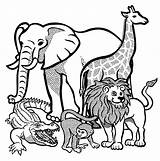 African animals  Lineart Zoo animal coloring Pages Animal sketch template
