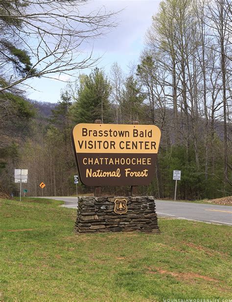 Exploring Georgia: Visiting Brasstown Bald | MountainModernLife.com