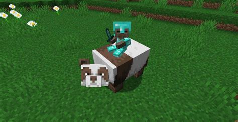 How Rare Is A Brown Panda In Minecraft? - Brown Panda Rarity