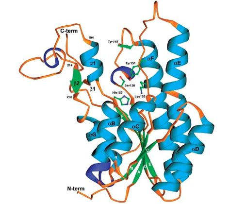 Enzyme Activity Measurement for 17 Beta Hydroxysteroid Dehydrogenase Using Spectrophotometric Assays