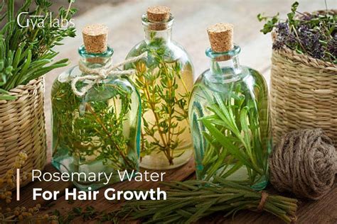 The Ultimate Guide to Rosemary Water for Hair Health