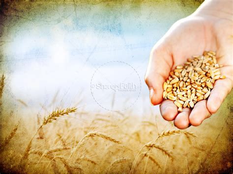 Parable of the Sower Sermon PowerPoint