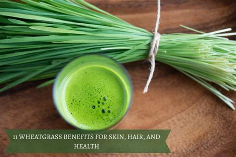 11 Wheatgrass Benefits for Skin, Hair, and Health