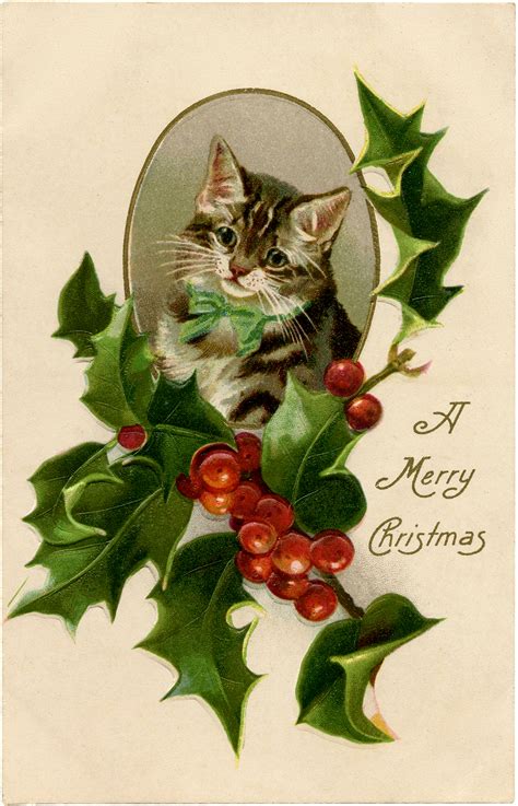 12 Christmas Cat Clipart! - The Graphics Fairy