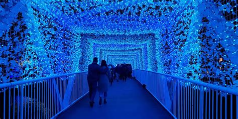 30 Best Toronto Christmas Events to Experience (2023)