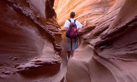 Capitol Reef Hiking Trails, National Park Hikes - AllTrips