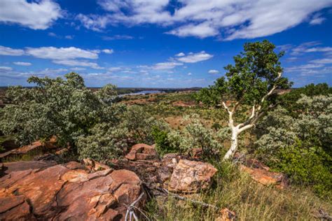 Best Mapungubwe National Park Stock Photos, Pictures & Royalty-Free Images - iStock