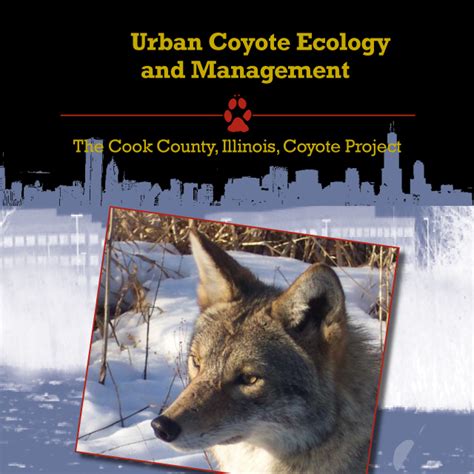 Urban Coyote Ecology and Management - | Urban Coyote Research