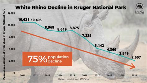 A New Poaching Problem in South Africa - International Rhino FoundationInternational Rhino ...