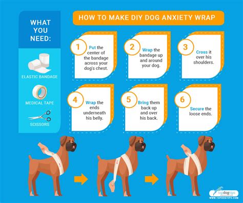 DIY Dog Anxiety Wrap: Cheap & Easy – Top Dog Tips