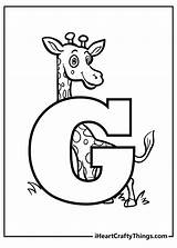Printable Letter G Coloring Page Updated 2023  Home sketch template