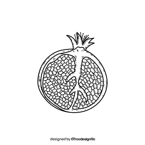 Pomegranate drawing black and white clipart vector free download