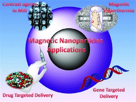 1 Biomedical applications of magnetic nanoparticles | Download ...