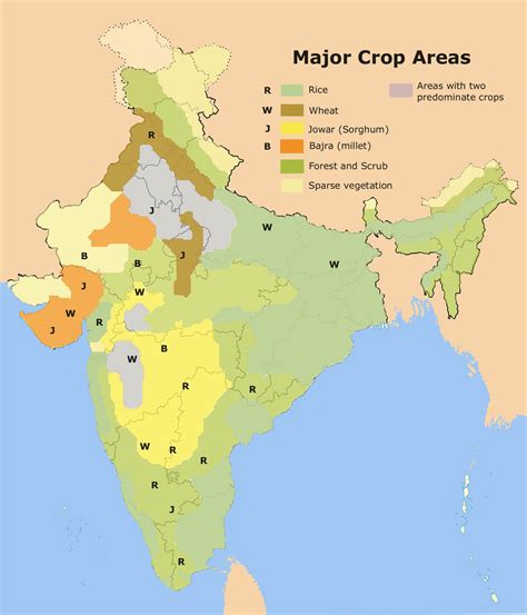Crops in India - Geography Study Material & Notes