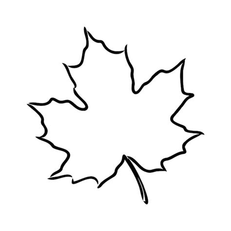 Premium Vector | Fall leaf clipart black and white leaf drawing vector ...