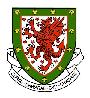 Wales FA badge | Digital illustration, National football, Poster prints