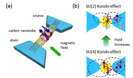 Novel method to study quantum fluctuations in exotic phases of matter